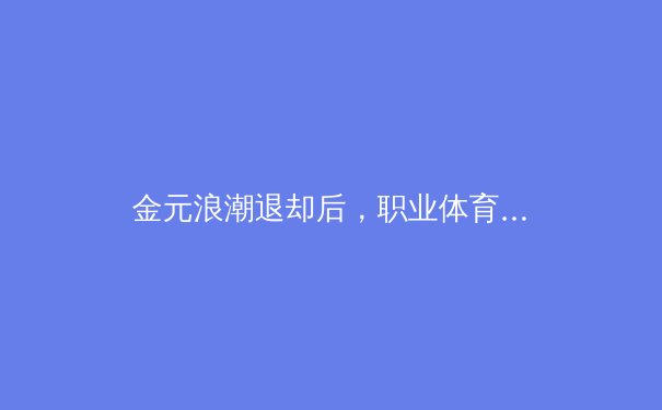金元浪潮退却后，职业体育的价值锚点何在？——从豪门沉浮看可持续发展之道 - 4